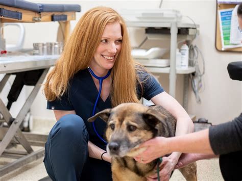 Carolina veterinary specialists nc - Complaints may be submitted electronically (on-line) or by letter. 1. The preferred method of submission is via our on-line Enforcement Portal. 2. Submission by letter should be typed and mailed to: NC Veterinary Medical Board. 1611 …